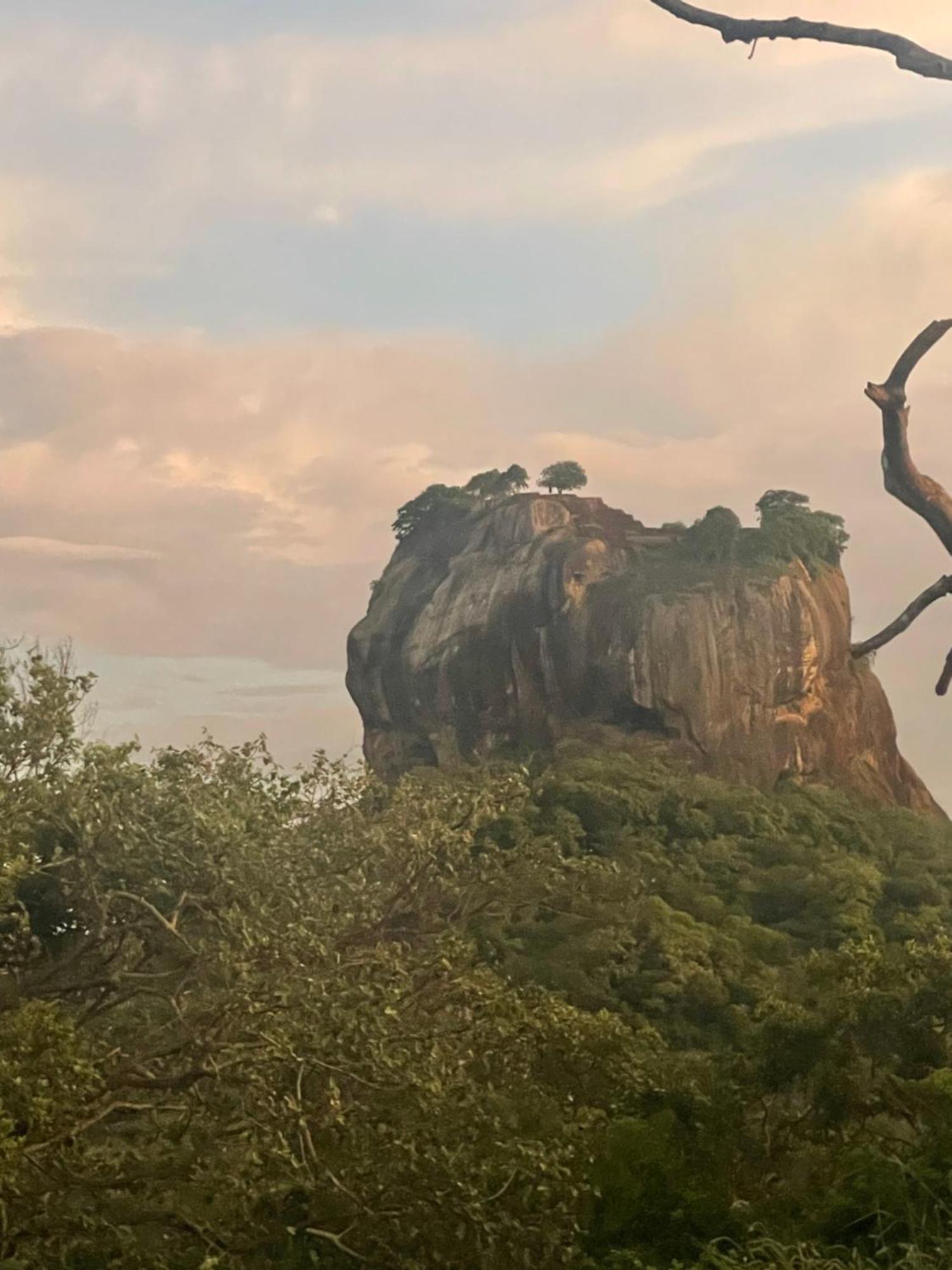 Reggae Paradise Hostel Sigiriya Luaran gambar